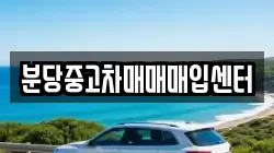 분당중고차매매매입센터