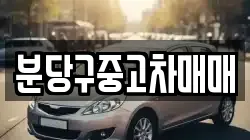 분당구중고차매매