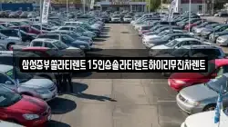 삼성중부쏠라티렌트15인승솔라티렌트하이리무진차렌트
