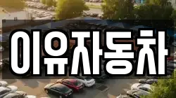이유자동차