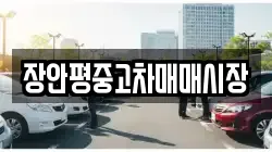 장안평중고차매매시장