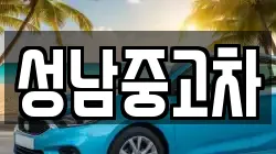성남중고차