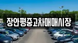 장안평중고차매매시장