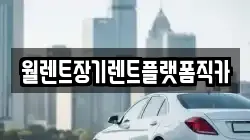경기도 성남시 수정구 산성동 렌트카,단기렌트카,장기렌트카,중고차,중고차매매,중고차매입