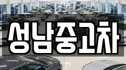 성남중고차