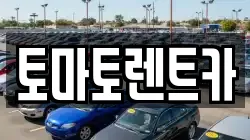 토마토렌트카