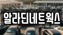 알라딘네트웍스