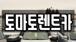 토마토렌트카