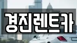 경기도 성남시 중원구 갈현동 렌트카,단기렌트카,장기렌트카,중고차,중고차매매,중고차매입
