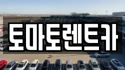 토마토렌트카