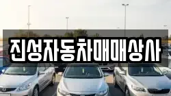 진성자동차매매상사