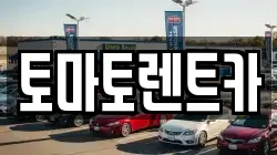 토마토렌트카