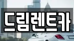 경기도 성남시 중원구 중앙동 렌트카,단기렌트카,장기렌트카,중고차,중고차매매,중고차매입