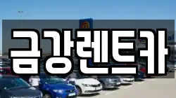경기도 수원시 권선구 구운동 렌트카,단기렌트카,장기렌트카,중고차,중고차매매,중고차매입