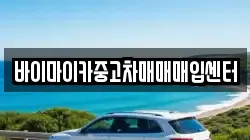 바이마이카중고차매매매입센터