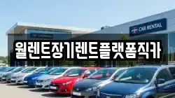 경기도 수원시 권선구 대황교동 렌트카,단기렌트카,장기렌트카,중고차,중고차매매,중고차매입