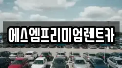 경기도 수원시 권선구 렌트카,단기렌트카,장기렌트카,중고차,중고차매매,중고차매입
