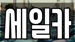 세일카