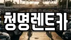 청명렌트카