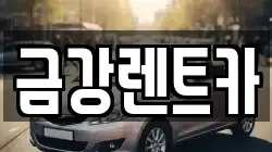 금강렌트카