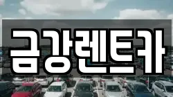 경기도 수원시 장안구 천천동 렌트카,단기렌트카,장기렌트카,중고차,중고차매매,중고차매입
