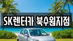 경기도 수원시 장안구 파장동 렌트카,단기렌트카,장기렌트카,중고차,중고차매매,중고차매입