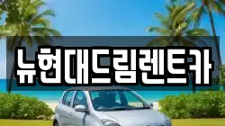 뉴현대드림렌트카