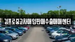 김프로중고차매입판매수출매매센터
