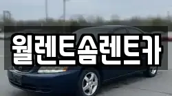 월렌트솜렌트카