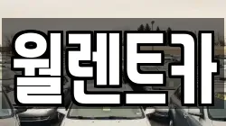 경기도 수원시 팔달구 장안동 렌트카,단기렌트카,장기렌트카,중고차,중고차매매,중고차매입