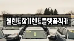 월렌트장기렌트플랫폼직카