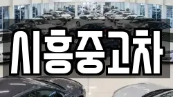 시흥중고차