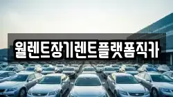 경기도 시흥시 과림동 렌트카,단기렌트카,장기렌트카,중고차,중고차매매,중고차매입