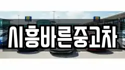 시흥바른중고차