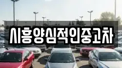 시흥양심적인중고차