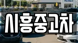 시흥중고차