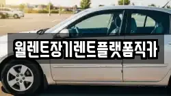 월렌트장기렌트플랫폼직카