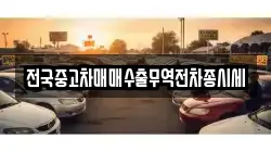 전국중고차매매수출무역전차종시세