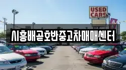 시흥배곧호반중고차매매센터