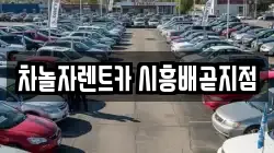 차놀자렌트카 시흥배곧지점