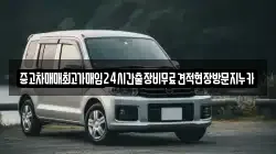 중고차매매최고가매입24시간출장비무료견적현장방문지누카