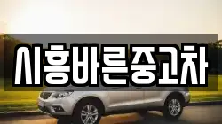시흥바른중고차