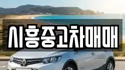 시흥중고차매매