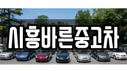 시흥바른중고차