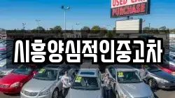 시흥양심적인중고차