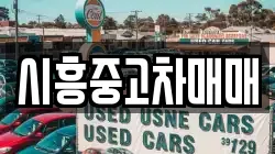 시흥중고차매매