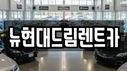 뉴현대드림렌트카