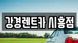 강경렌트카 시흥점