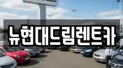 뉴현대드림렌트카