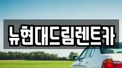 뉴현대드림렌트카